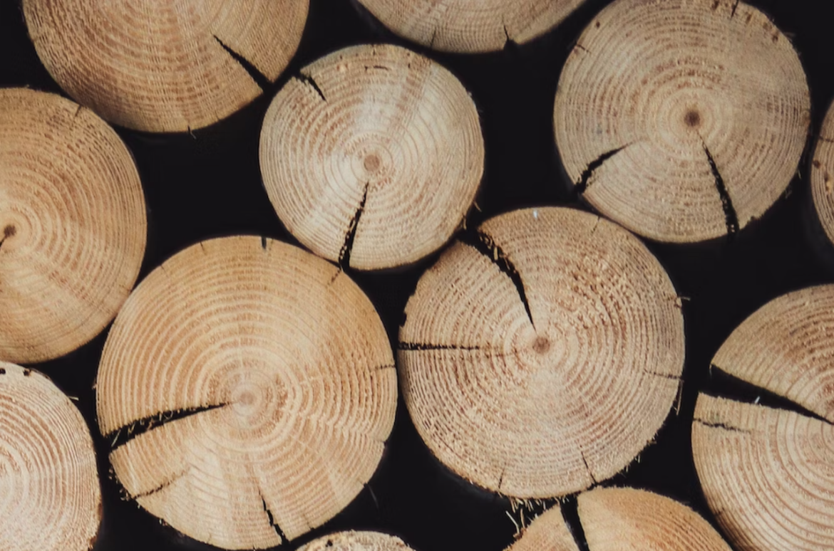 Jak Wybrać Najlepsze Drewno do Wędzenia: Przewodnik z Firmą Drewnex