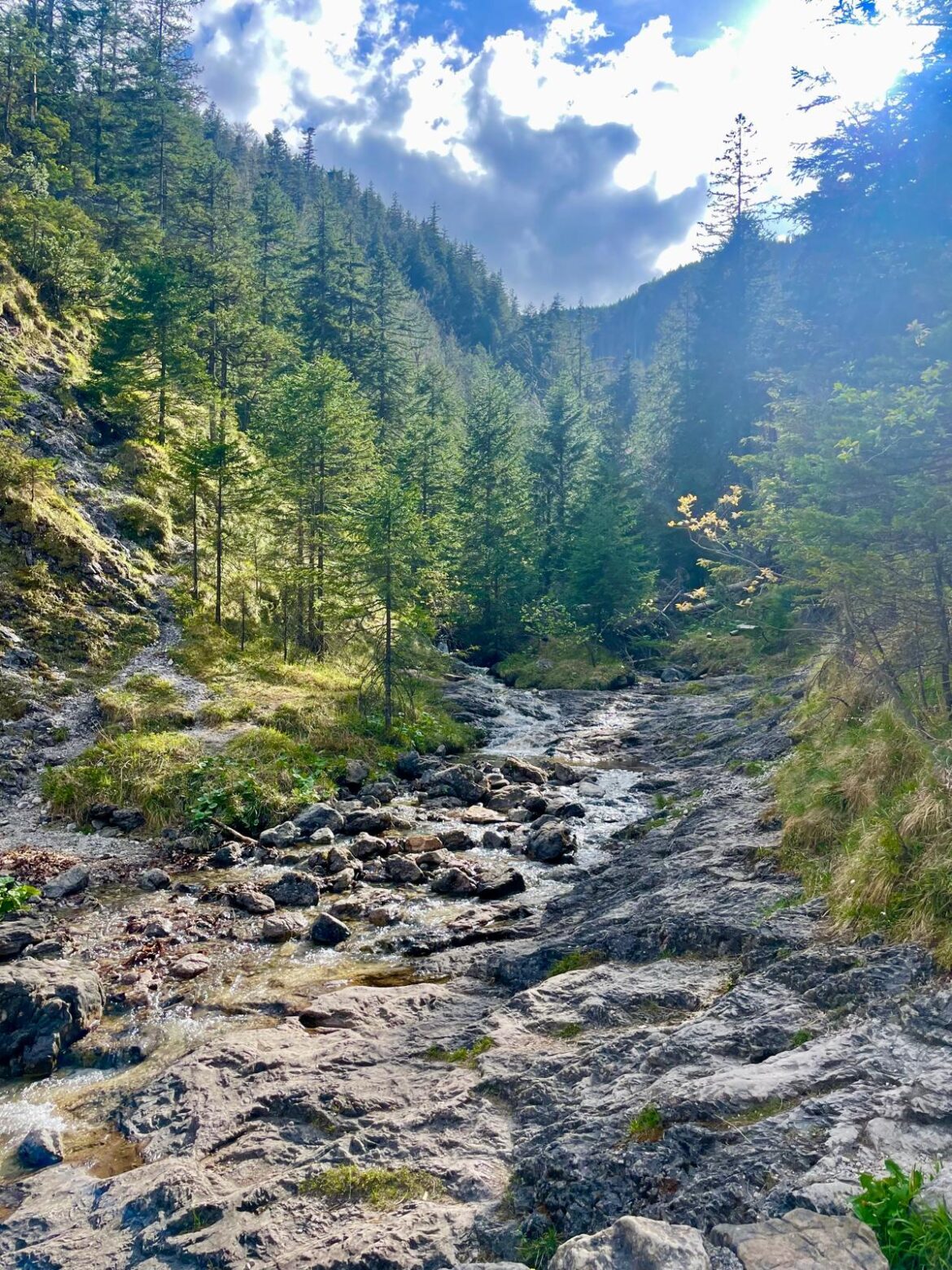 Kiedy słońce góruje na niebie, a góry odsłaniają swoje malownicze oblicze, Zakopane staje się oazą letniego wypoczynku. Ten urokliwy kurort w sercu Tatr przyciąga nie tylko miłośników górskich wędrówek, ale również poszukiwaczy relaksu i adrenaliny. Co czeka na naszych gości w tej perełce polskich gór?
