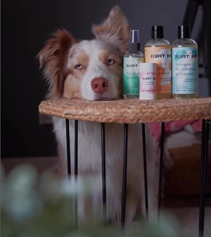 Ochrona psa - sierść i łapy